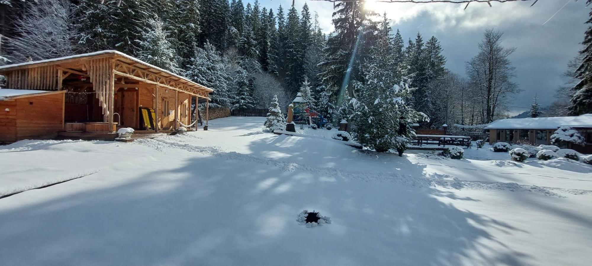Vidra Park Hotel Sikaszó Kültér fotó